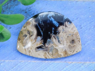 PETRIFIED PALM WOOD CABOCHON ROCK STONE LAPIDARY SPECIMEN