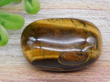 TIGER EYE ROCK STONE LAPIDARY SPECIMEN