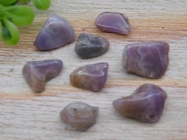 ROYAL AZTEC LACE ROCK STONE LAPIDARY SPECIMEN