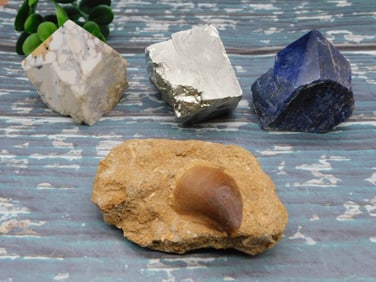 MIXED LOT ROCK STONE LAPIDARY SPECIMEN