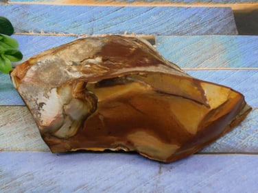 JASPER ROCK STONE LAPIDARY SPECIMEN