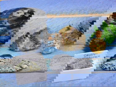 MIXED LOT ROCK STONE LAPIDARY SPECIMEN