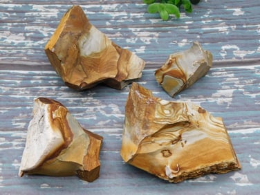 JASPER ROCK STONE LAPIDARY SPECIMEN