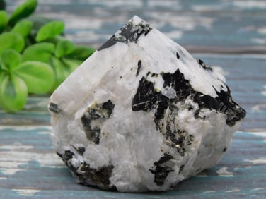 TOURAMLINE IN QUARTZ POINT ROCK STONE LAPIDARY SPECIMEN