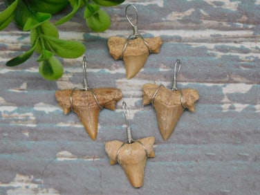 SHARK TEETH PENDANTS ROCK STONE LAPIDARY SPECIMEN