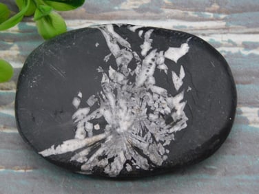 CHRYSANTHEMUM ROCK STONE LAPIDARY SPECIMEN