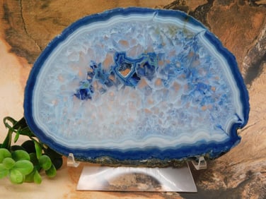 AGATE SLICE ROCK STONE LAPIDARY SPECIMEN