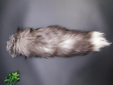 SILVER FOX TAIL TAXIDERMY