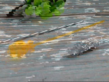 STONE ROSE HAIR PIN ROCK STONE LAPIDARY SPECIMEN