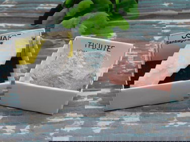 MIXED LOT ROCK STONE LAPIDARY SPECIMEN