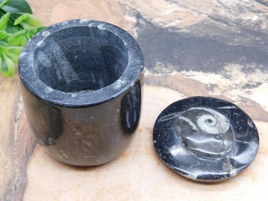 ORTHOCERAS TRINKET BOX ROCK STONE LAPIDARY SPECIMEN