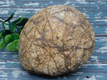 AGATE ROCK STONE LAPIDARY SPECIMEN