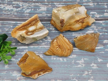 JASPER ROCK STONE LAPIDARY SPECIMEN