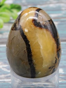 SEPTARIAN DRAGON EGG ROCK STONE LAPIDARY SPECIMEN