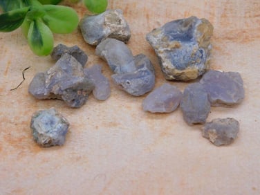 ELLENSBURG AGATE ROCK STONE LAPIDARY SPECIMEN