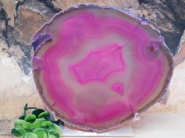 AGATE SLICE ROCK STONE LAPIDARY SPECIMEN