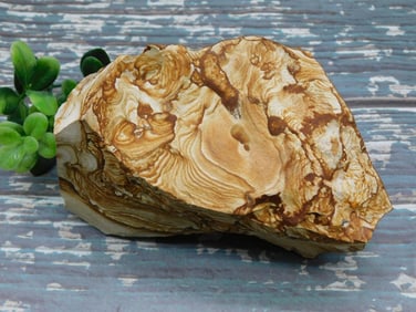 JASPER ROCK STONE LAPIDARY SPECIMEN