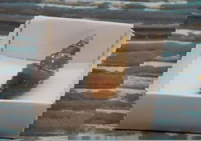 FOSSILIZED GASTROPOD ROCK STONE LAPIDARY SPECIMEN