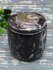 ORTHOCERAS TRINKET BOX ROCK STONE LAPIDARY SPECIMEN