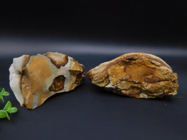 JASPER ROCK STONE LAPIDARY SPECIMEN