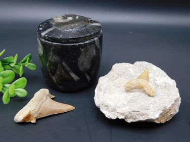 MIXED LOT ROCK STONE LAPIDARY SPECIMEN