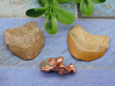 MIXED LOT ROCK STONE LAPIDARY SPECIMEN