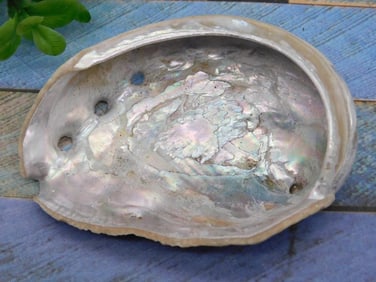 CUARZO ROCK STONE LAPIDARY SPECIMEN