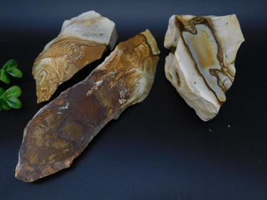 JASPER ROCK STONE LAPIDARY SPECIMEN