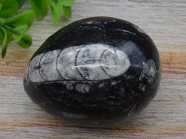 AMETHYST ROCK STONE LAPIDARY SPECIMEN