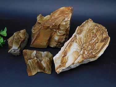 JASPER ROCK STONE LAPIDARY SPECIMEN