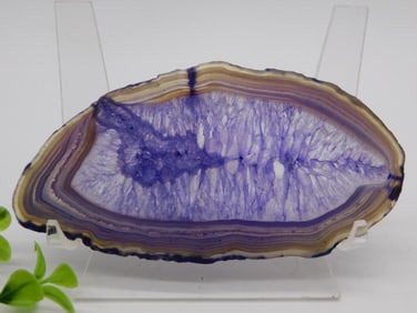 AGATE SLICE ROCK STONE LAPIDARY SPECIMEN