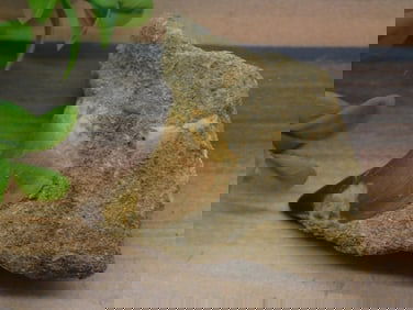 DINOSAUR TOOTH IN MATRIX ROCK STONE LAPIDARY SPECIMEN