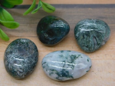 TREE AGATE ROCK STONE LAPIDARY SPECIMEN