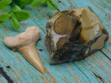 MIXED LOT ROCK STONE LAPIDARY SPECIMEN