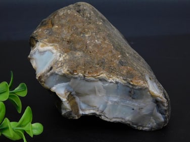 BLACK SKIN AGATE ROCK STONE LAPIDARY SPECIMEN