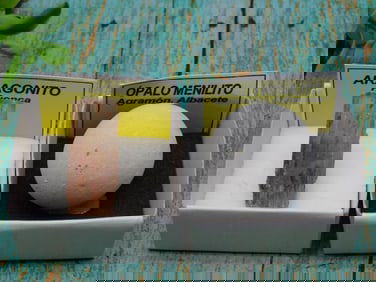 MIXED LOT ROCK STONE LAPIDARY SPECIMEN