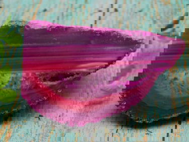 AGATE ROCK STONE LAPIDARY SPECIMEN