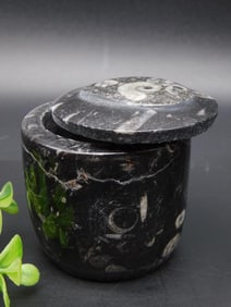 ORTHOCERAS TRINKET BOX ROCK STONE LAPIDARY SPECIMEN