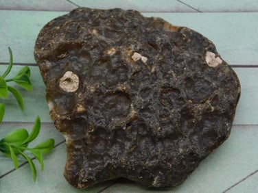 BLACK SKIN AGATE ROCK STONE LAPIDARY SPECIMEN