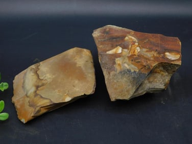 JASPER ROCK STONE LAPIDARY SPECIMEN