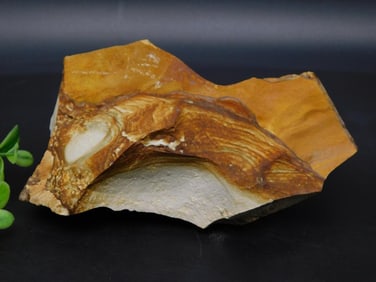JASPER ROCK STONE LAPIDARY SPECIMEN