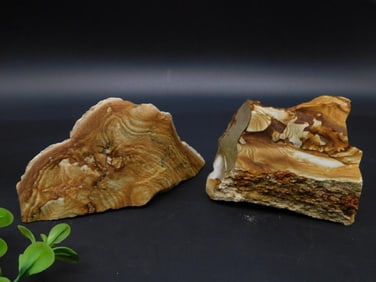 JASPER ROCK STONE LAPIDARY SPECIMEN