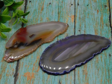AGATE SLICES ROCK STONE LAPIDARY SPECIMEN
