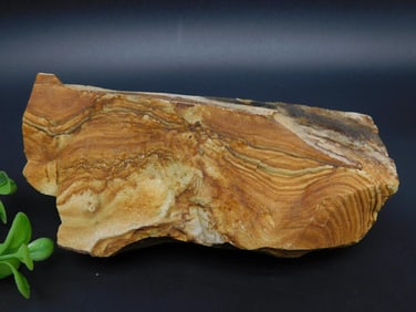 JASPER ROCK STONE LAPIDARY SPECIMEN