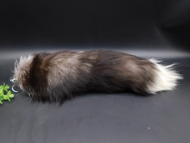 SILVER FOX TAIL TAXIDERMY
