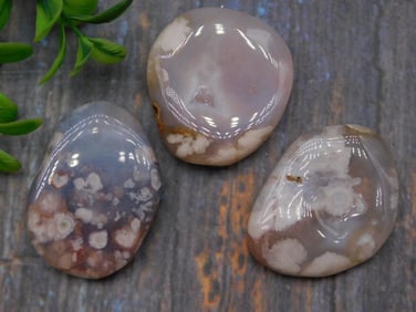 FLOWER PETAL AGATE ROCK STONE LAPIDARY SPECIMEN