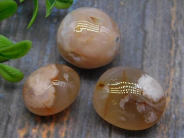 FLOWER PETAL AGATE ROCK STONE LAPIDARY SPECIMEN