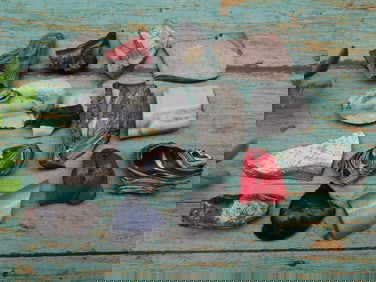 FORDITE MOTOR CITY AGATE