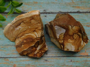 JASPER ROCK STONE LAPIDARY SPECIMEN