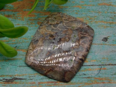 RHYOLITE CABOCHON ROCK STONE LAPIDARY SPECIMEN